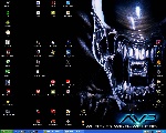 1280x1024 pixels (227,6K)