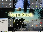 1152x864 pixels (2986,0K)