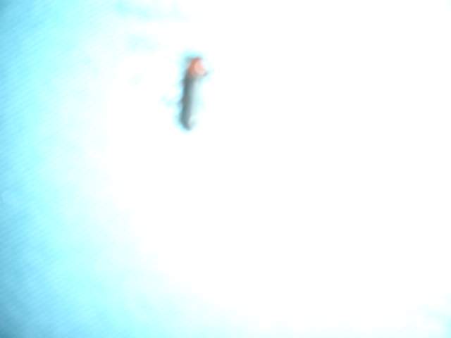 CIMG0051
