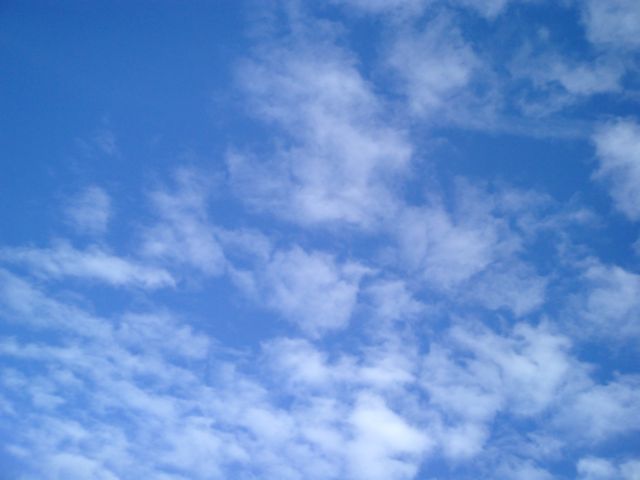 CIMG0028