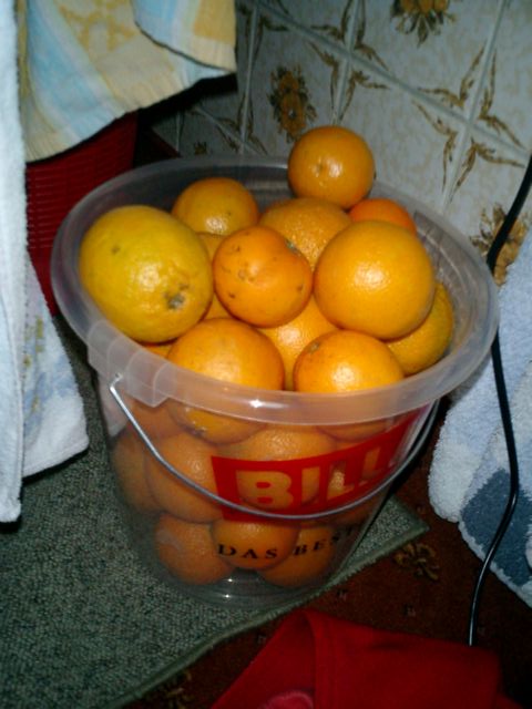 CIMG0211